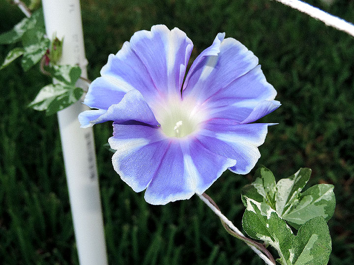 DSCN2093