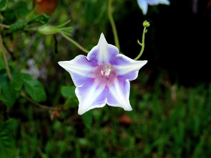 DSCN2128