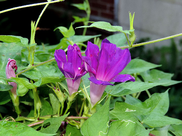 DSCN2263