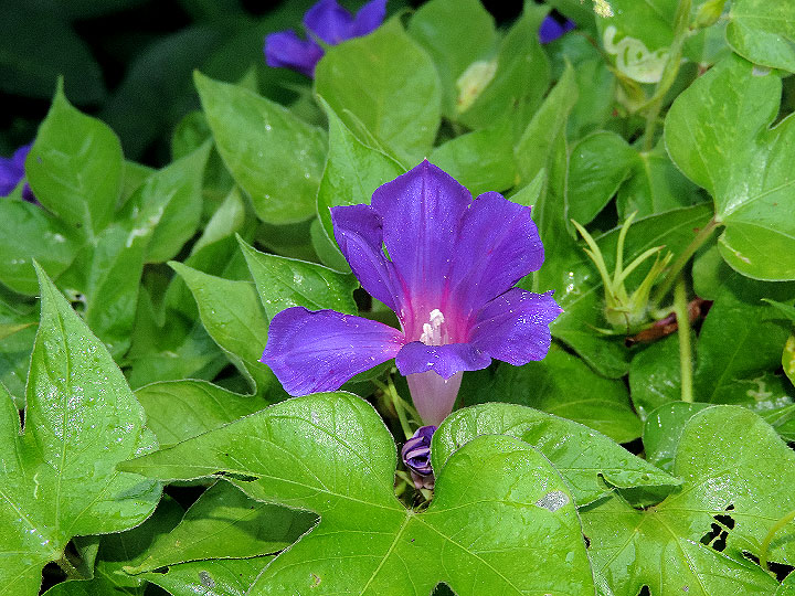DSCN2265