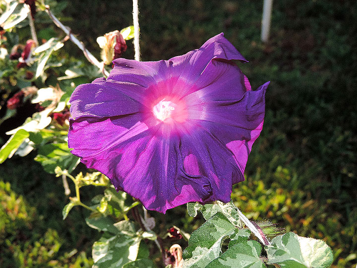 DSCN2351
