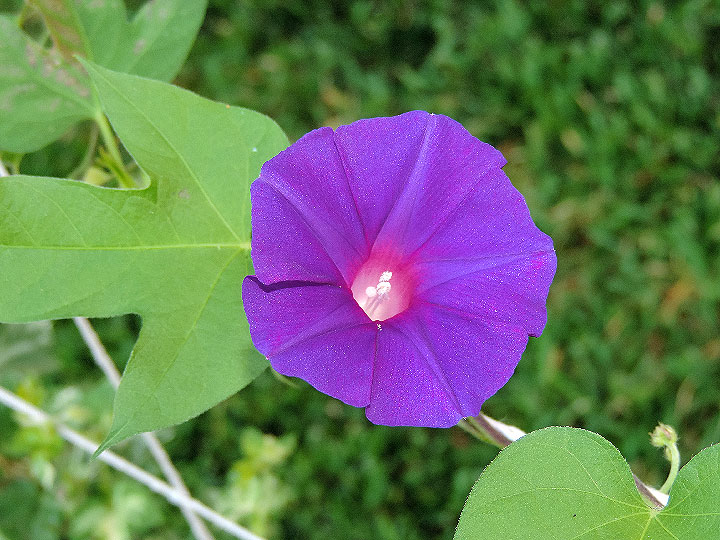 DSCN2359