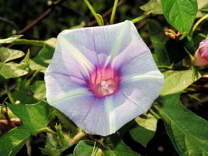 DSCN2364