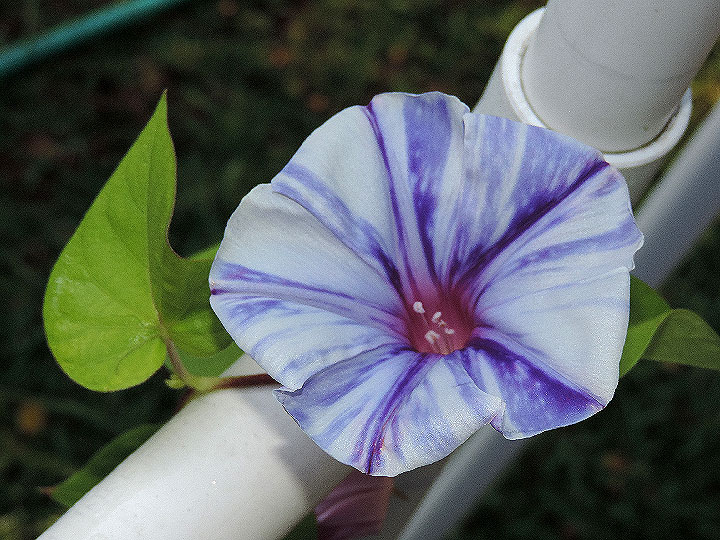 DSCN2861