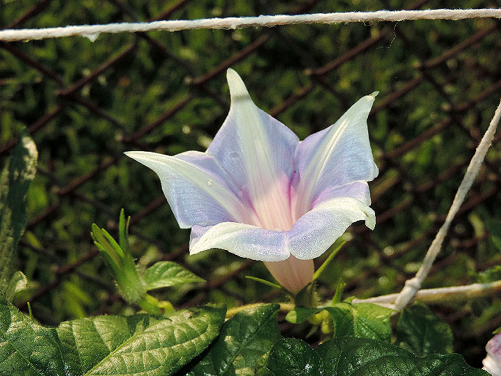 DSCN2884