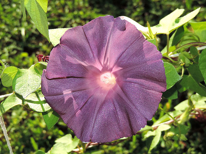 DSCN3009