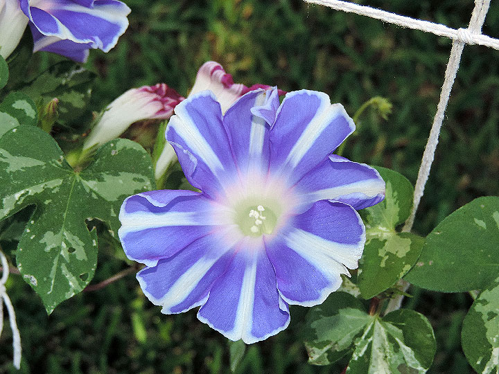 DSCN3014