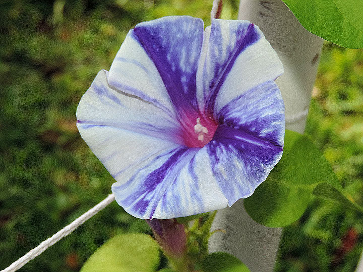 DSCN3168