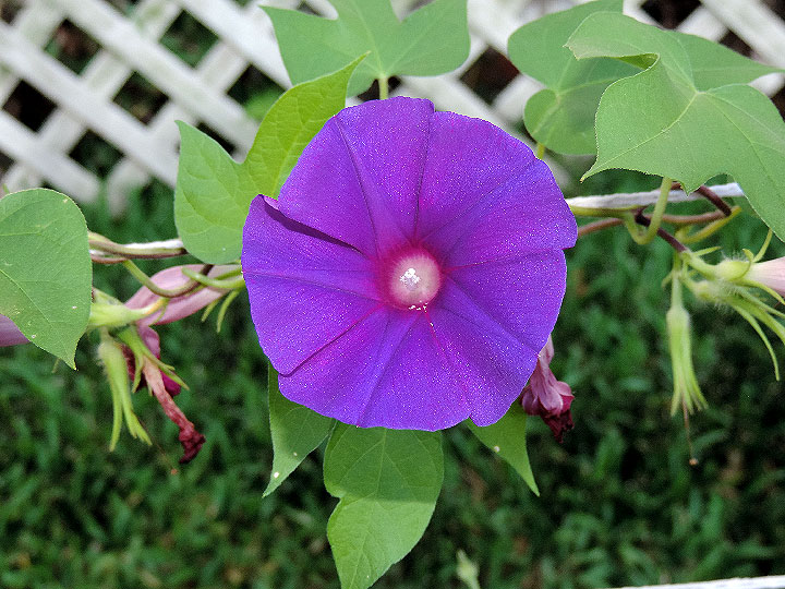 DSCN3394
