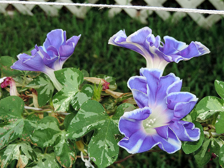 DSCN3395