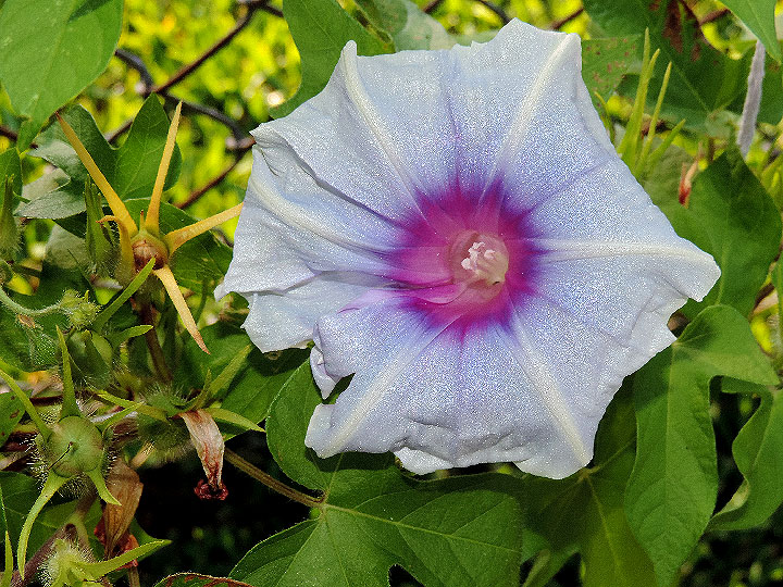 DSCN3399