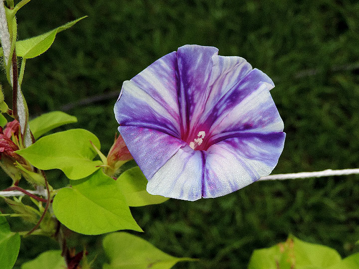 DSCN3504