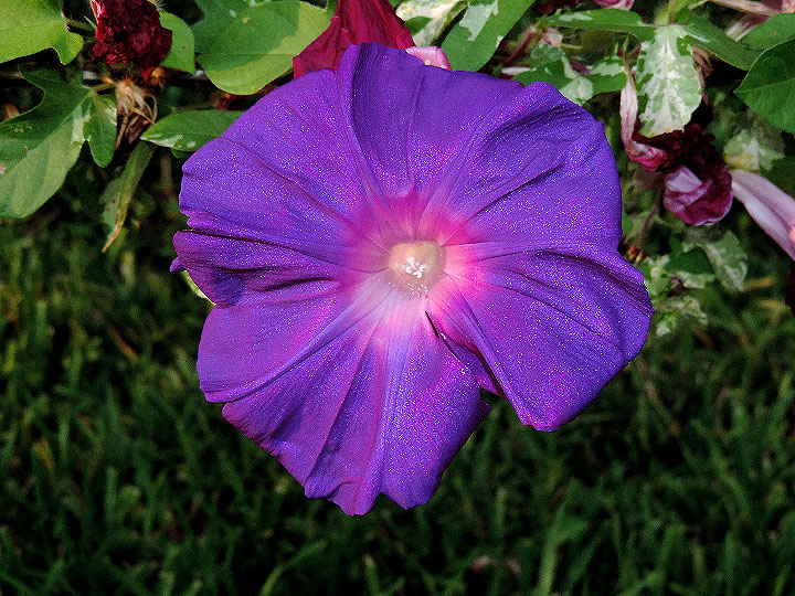 DSCN3619
