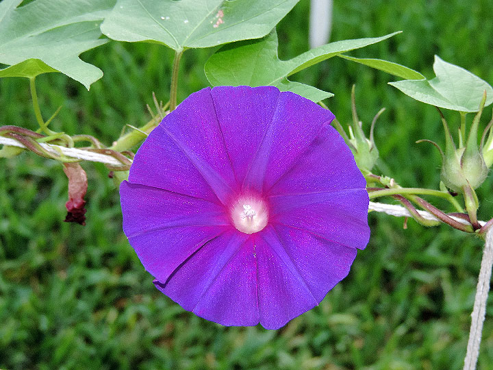 DSCN3639
