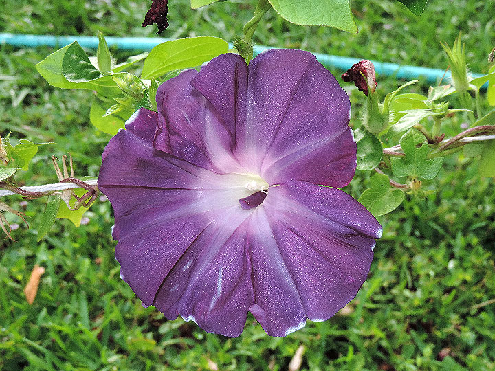 DSCN3752
