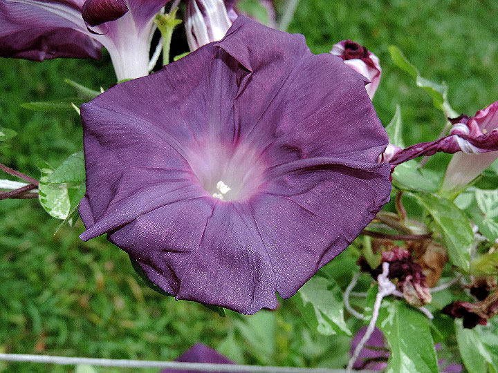 DSCN3840