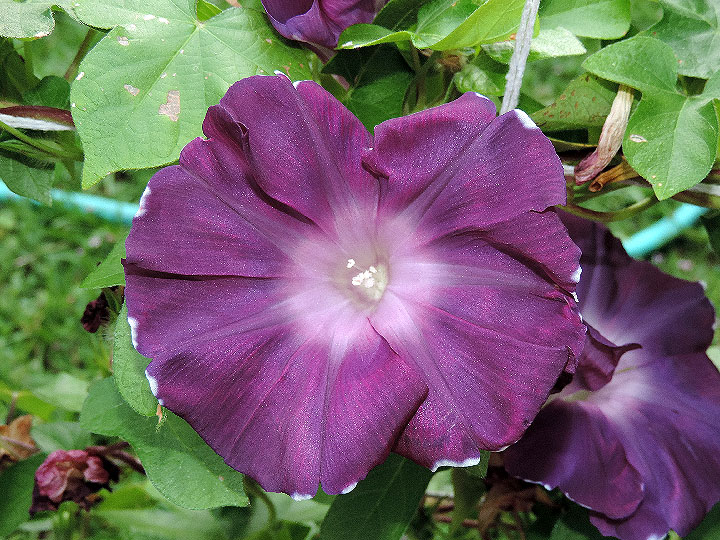 DSCN3854