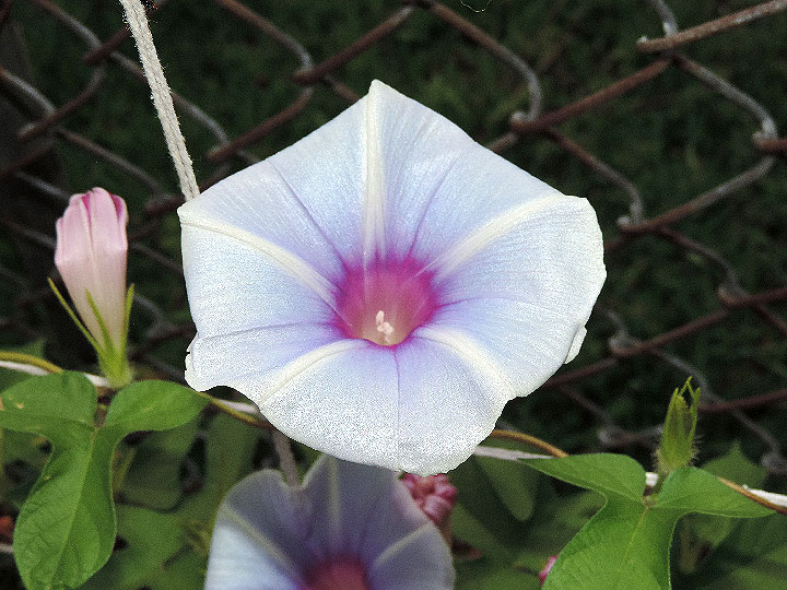 DSCN3859