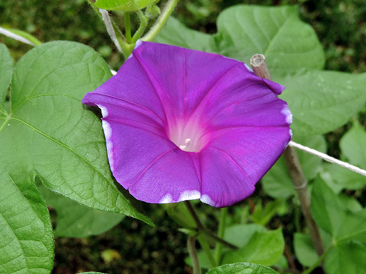 DSCN3947