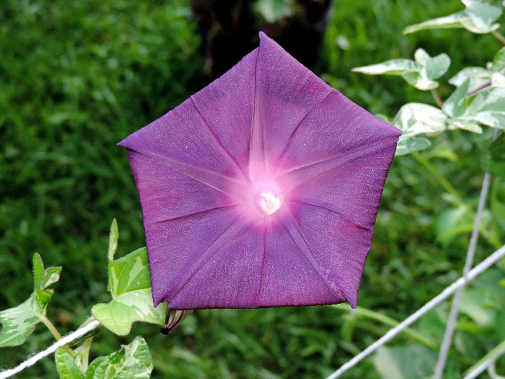 DSCN4405