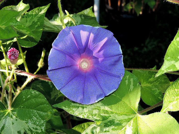 DSCN4828