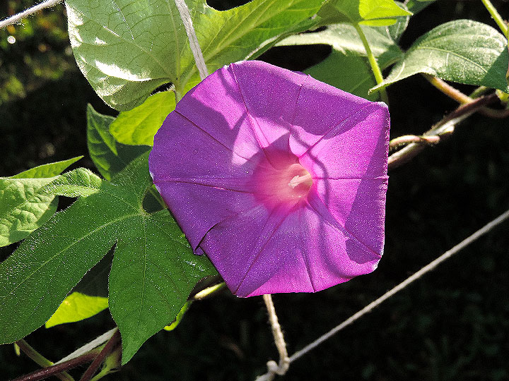 DSCN4829