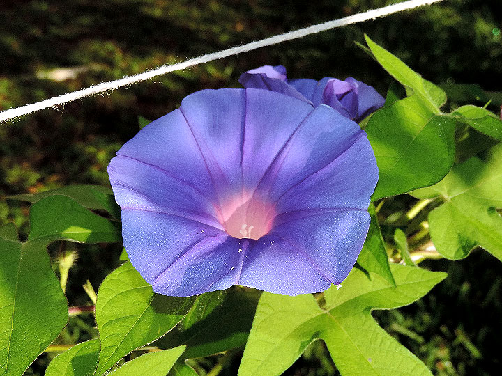DSCN4836