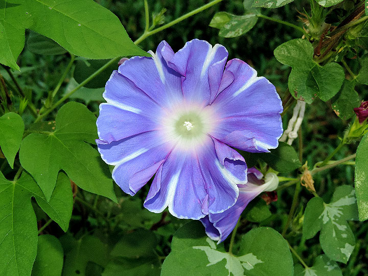 DSCN4975
