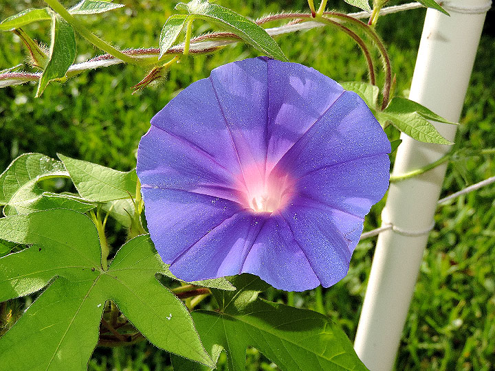 DSCN5405