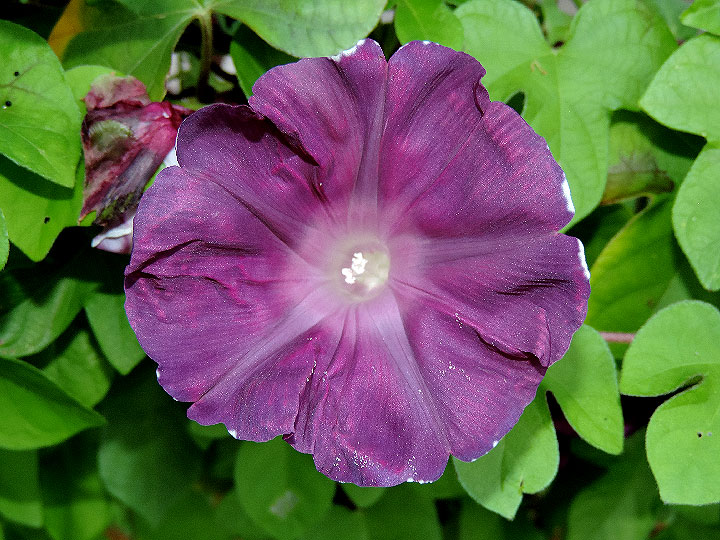 DSCN5717