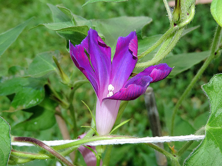 DSCN5728