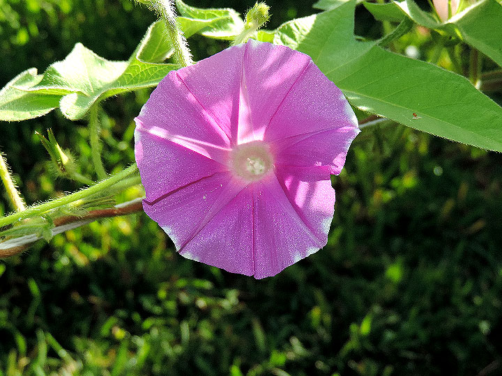 DSCN6105