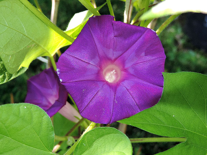 DSCN6106