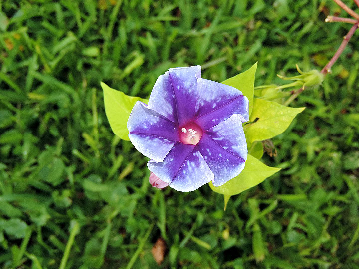 DSCN6119