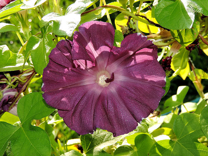 DSCN6122