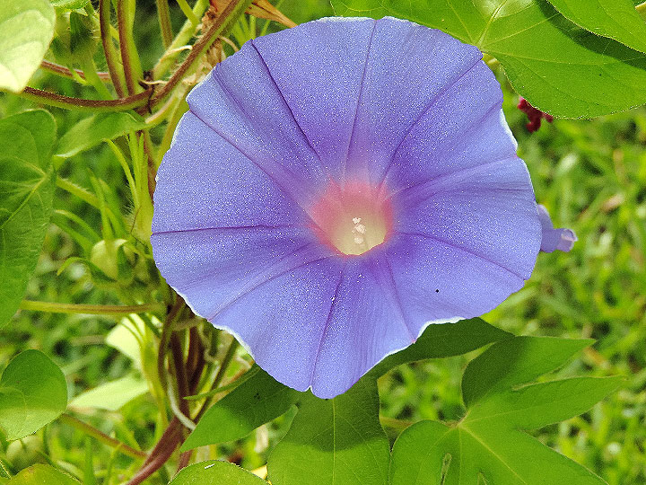 DSCN6256