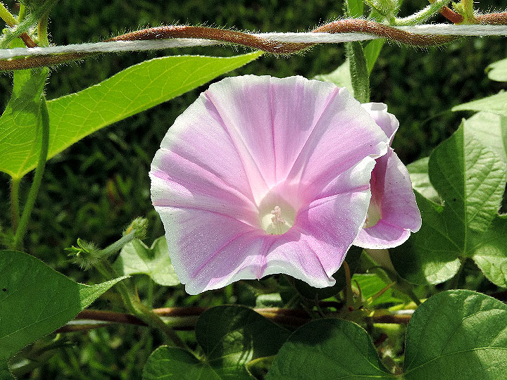 DSCN6258