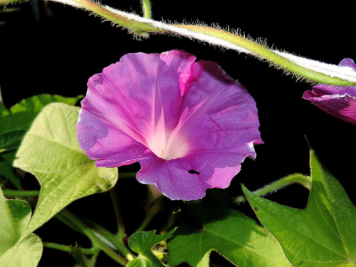 DSCN6573