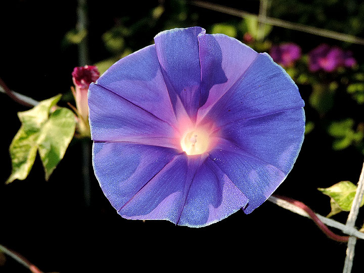 DSCN6574