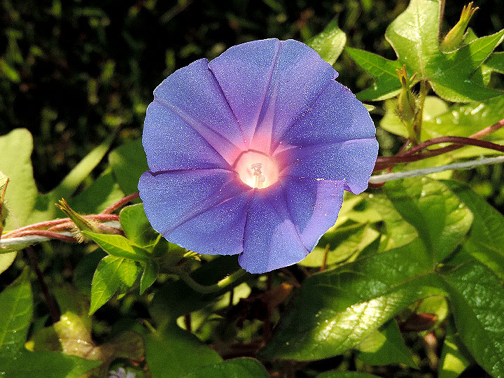 DSCN6745
