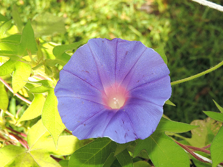 DSCN6983