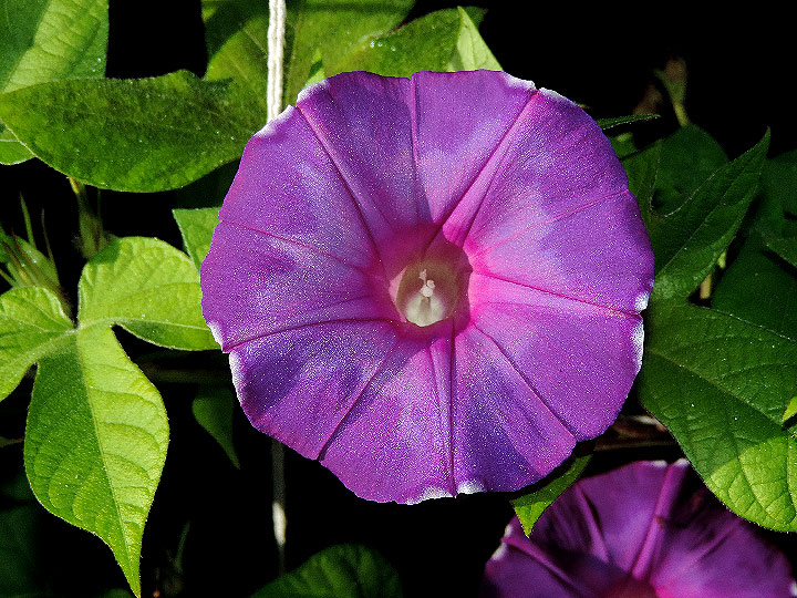 DSCN7127