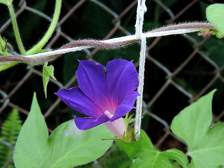 DSCN7212