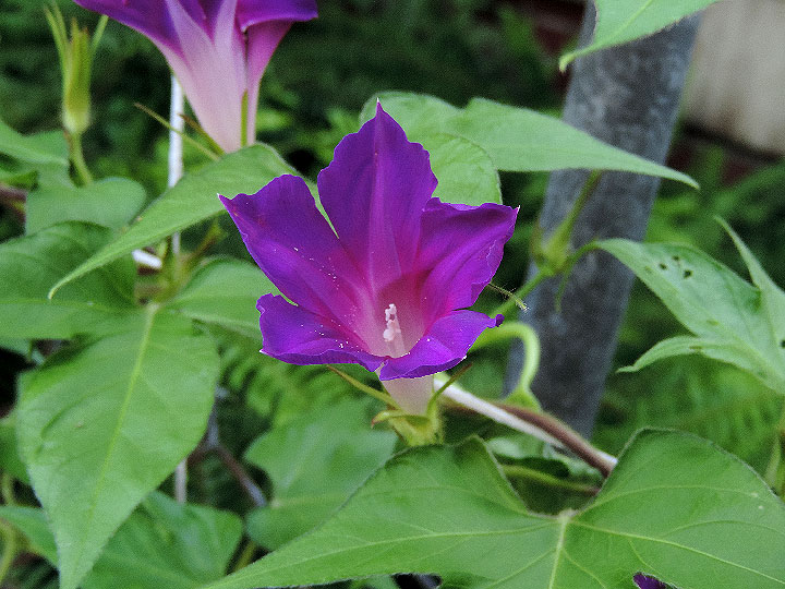 DSCN7213