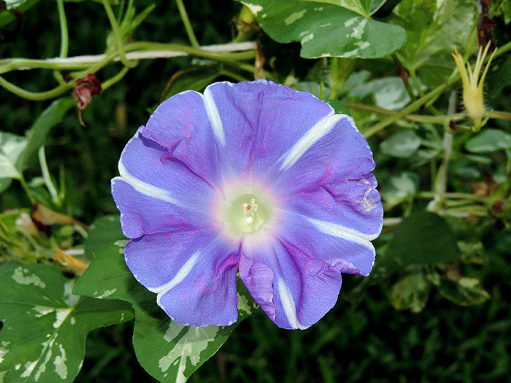 DSCN7408