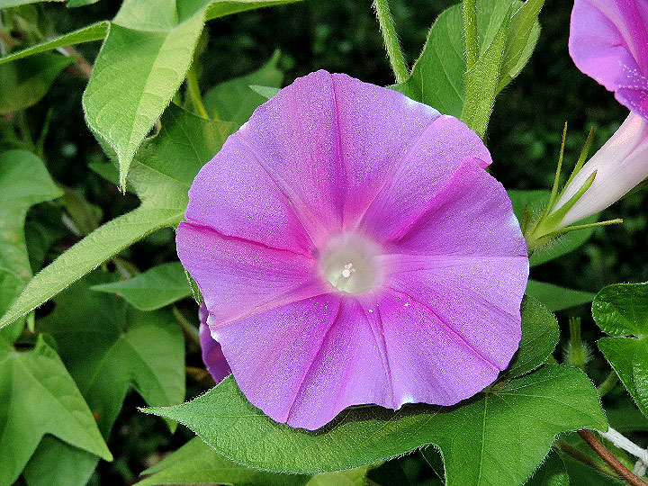DSCN7498