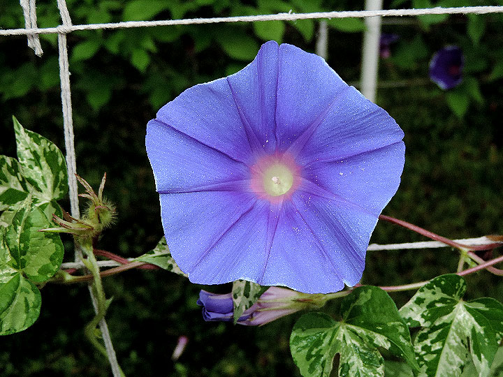 DSCN7741