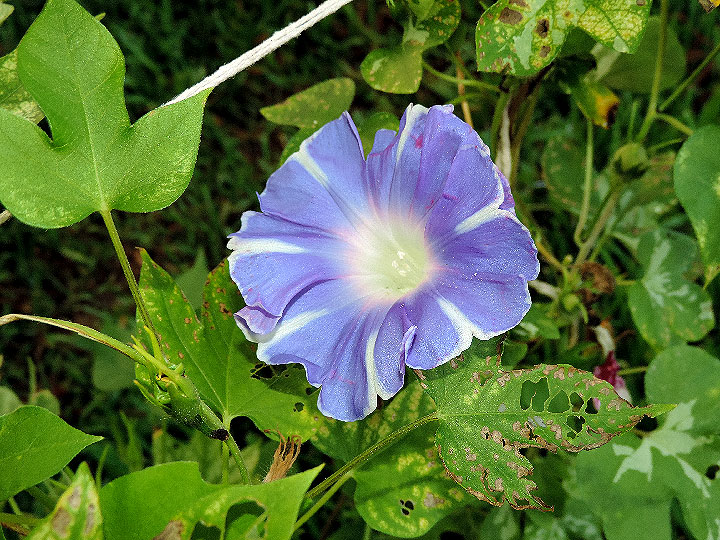 DSCN8153