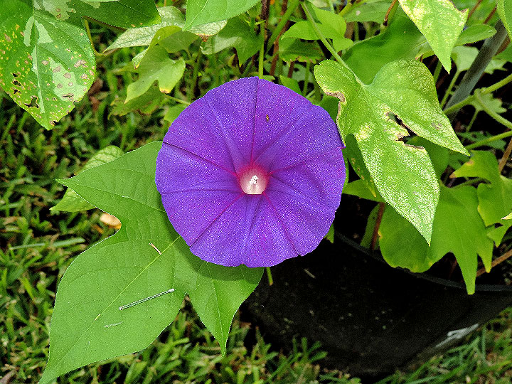 DSCN8376