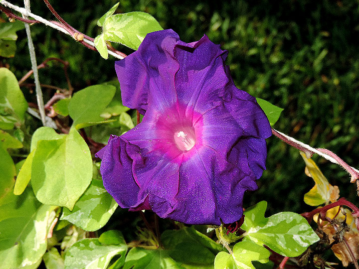 DSCN8618